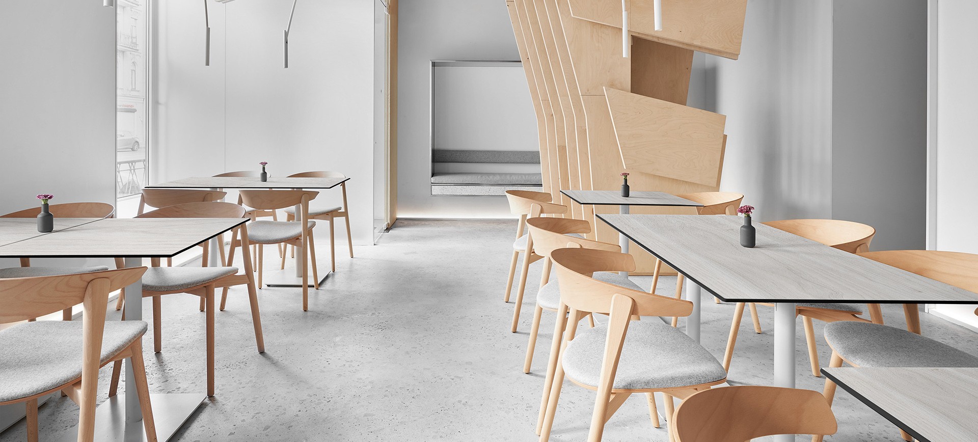 Случай проекта украшения--Ресторан