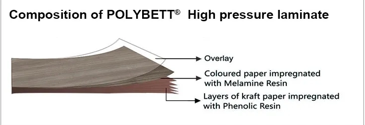 微信图片 _20250227141002