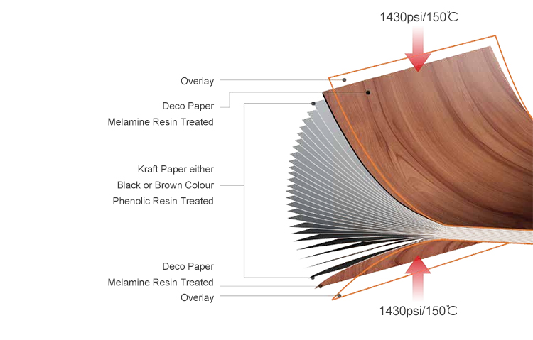 фото_20250311143416