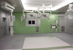 Brikley Innenwand verkleidung Holzmaserung HPL Fassaden platte kompakte HPL-Plat.jpg