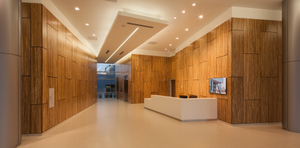 Lamboo ® Surface ™ by Lamboo Technologies LLC Media - Photos and Videos - 1 Arch.jpg