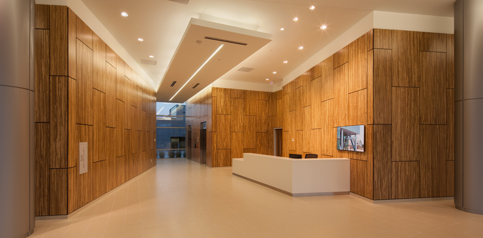 Lamboo &reg; Surface ™ от Lamboo Technologies LLC Медиа - Фото и видео - 1 Arch.jpg